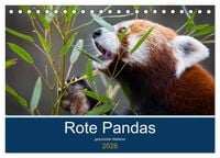 Produktbild: Rote Pandas - geschickte Kletterer (Tischkalender 2026 DIN A5 quer), CALVENDO Monatskalender