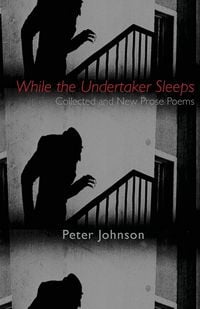 Produktbild: While the Undertaker Sleeps