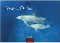 Produktbild: Wale und Delfine Kalender 2027 &ndash; Wandkalender | Fotokalender Tierkalender 35x50cm Grosses Format - Hochwertige Fotografien von Walen und Delfinen, die jeden Monat begeistern.