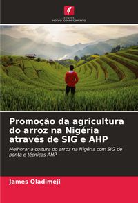 Produktbild: Promo&ccedil;&atilde;o da agricultura do arroz na Nig&eacute;ria atrav&eacute;s de SIG e AHP