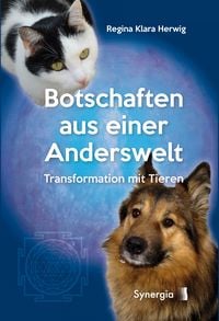 Produktbild: Botschaften aus einer Anderswelt