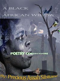 Produktbild: A Black African Widow