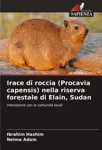 Produktbild: Irace di roccia (Procavia capensis) nella riserva forestale di Elain, Sudan
