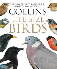 Produktbild: Collins Life-Size Birds