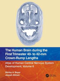 Produktbild: The Human Brain during the First Trimester 40- to 42-mm Crown-Rump Lengths