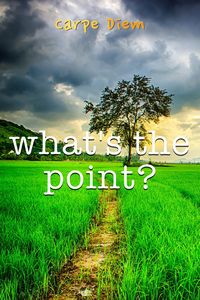 Produktbild: What's the Point?