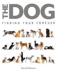 Produktbild: The Dog