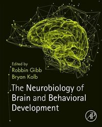 Produktbild: The Neurobiology of Brain and Behavioral Development