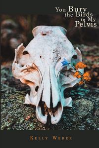 Produktbild: You Bury the Birds in My Pelvis