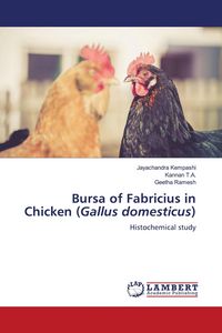 Produktbild: Bursa of Fabricius in Chicken (Gallus domesticus)