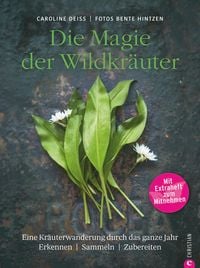 Produktbild: Wildkr&auml;uter Kochbuch: Die Magie der Wildkr&auml;uter. Eine Kr&auml;uterwanderung durch das ganze Jahr. Erkennen, sammeln, zubereiten. Wildkr&auml;uter bestimmen, Rez