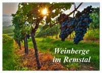 Produktbild: Weinberge im Remstal (Wandkalender 2027 DIN A2 quer), CALVENDO Monatskalender