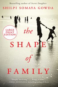 Produktbild: The Shape of Family