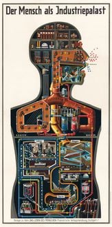 Produktbild: Der Mensch als Industriepalast von Dr. Fritz Kahn