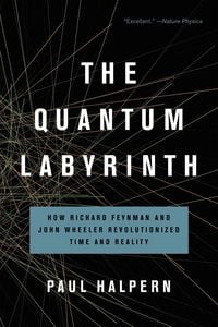 Produktbild: The Quantum Labyrinth