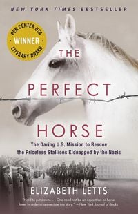 Produktbild: The Perfect Horse