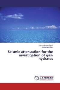 Produktbild: Seismic attenuation for the investigation of gas-hydrates
