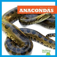 Produktbild: Anacondas