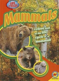Produktbild: Mammals