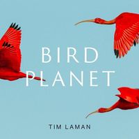 Bild vom Artikel Bird Planet vom Autor Tim Laman