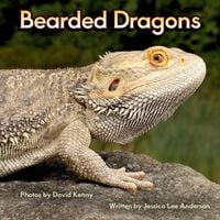 Produktbild: Bearded Dragons