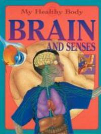 Produktbild: Brain and Senses