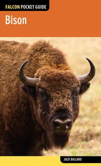 Produktbild: Bison