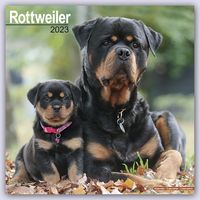 Bild vom Artikel Rottweiler - Rottweiler 2023 - 16-Monatskalender vom Autor Avonside Publishing Ltd