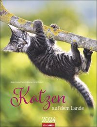 Katzen auf dem Lande Kalender 2024 von Marie-Luce Hubert