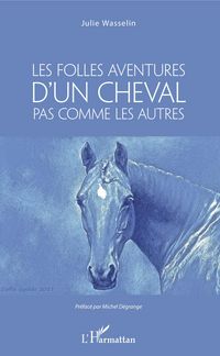 Produktbild: Les Folles aventures d'un cheval pas comme les autres
