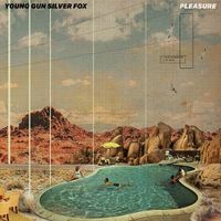 Produktbild: Pleasure