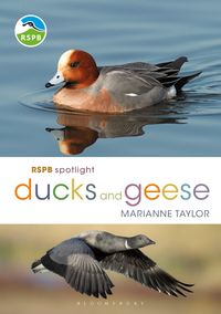 Produktbild: RSPB Spotlight Ducks and Geese