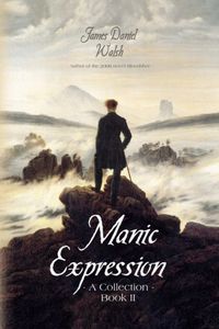 Produktbild: Manic Expression: A Collection Book II