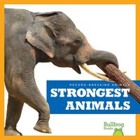 Produktbild: Strongest Animals