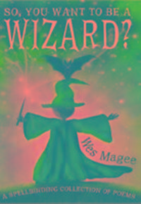 Produktbild: Magee, W: So, You Want to be a Wizard?