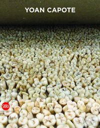 Produktbild: Yoan Capote