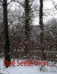 Produktbild: Eine Seele friert...