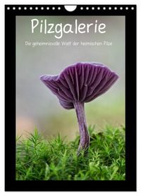 Produktbild: Pilzgalerie - Die geheimnisvolle Welt der heimischen Pilze (Wandkalender 2026 DIN A4 hoch), CALVENDO Monatskalender