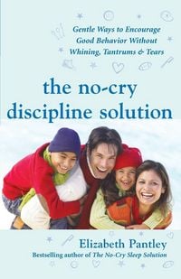 Produktbild: The No-Cry Discipline Solution