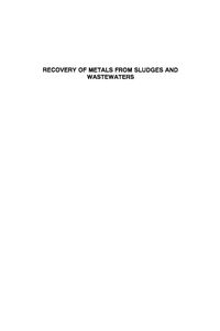 Produktbild: Processing of 'Wide Band Gap Semiconductors