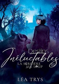 Produktbild: Destins ineluctables la sorciere