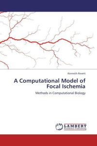 Produktbild: Revett, K: Computational Model of Focal Ischemia