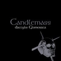 Produktbild: Dactylis Glomerata,1 Audio-CD