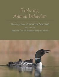 Produktbild: Exploring Animal Behavior