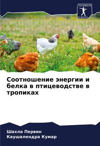 Produktbild: Sootnoshenie &auml;nergii i belka w pticewodstwe w tropikah