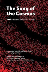 Produktbild: The Song of the Cosmos
