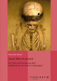 Produktbild: Quasi liber et pictura