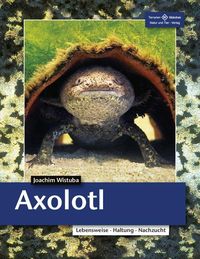 Bild vom Artikel Axolotl vom Autor Joachim Wistuba