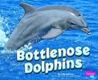 Produktbild: Bottlenose Dolphins