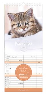Produktbild: K&auml;tzchen 2027